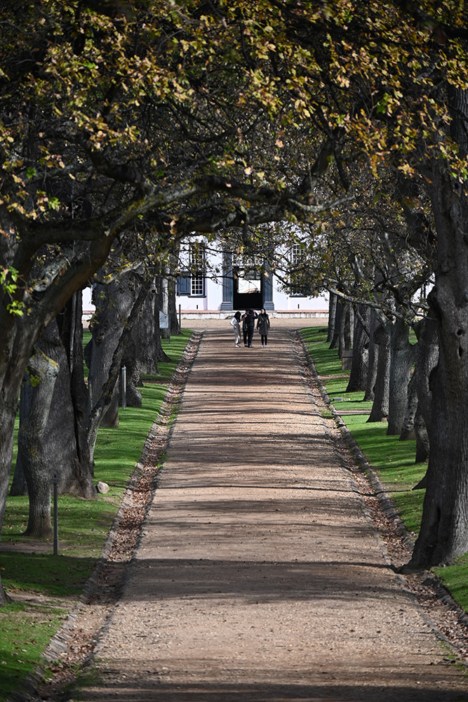 Our 5 Best Neighbourhoods To Stay In When Visiting Cape Town